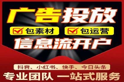 案例解读：网络推广与竞价策略